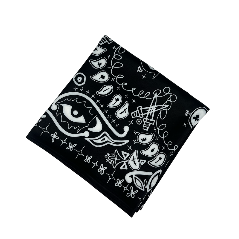 Paisley Scarf