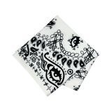 Paisley Scarf