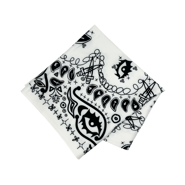 Paisley Scarf