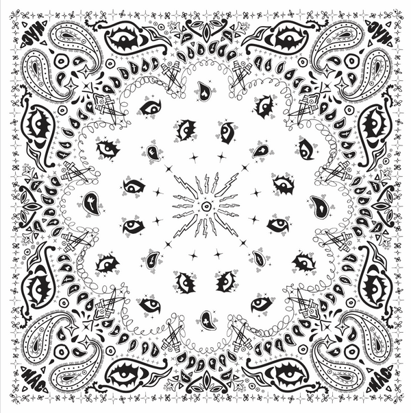 Paisley Scarf