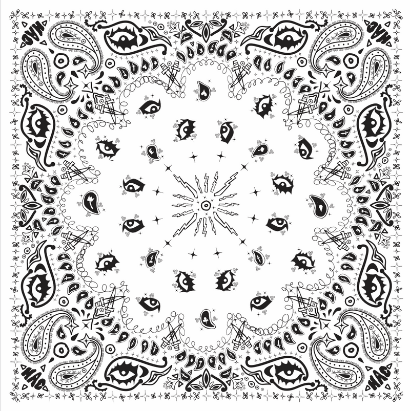 Paisley Scarf