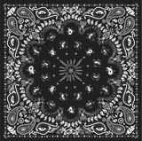 Paisley Scarf